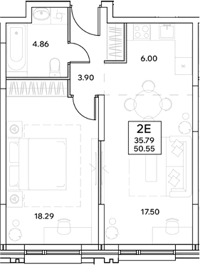 Планировка евродвушка (2Е) 50.55 м² в ЖК «ЭВОПАРК Измайлово», корпус 1