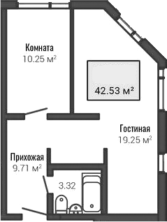Планировка двухкомнатная 42.53 м² в ЖК «Лайф Апарт Октябрьская», корпус 1