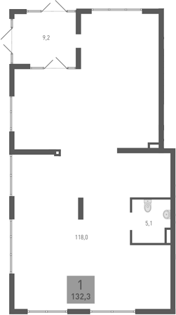 132,3 м², 1 этаж, корпус 4.2. На чертеже один большой зал 118,0 м² неправильной формы с одной колонной, санузел 5,1 м² у