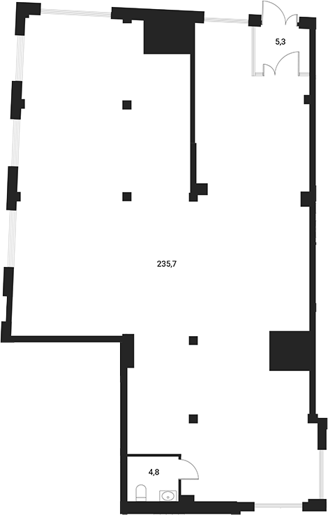 245,8 м², 1 этаж, корпус 1. Самое большое помещение: сложный контур, много колонн, остекление по верхней и боковой стена