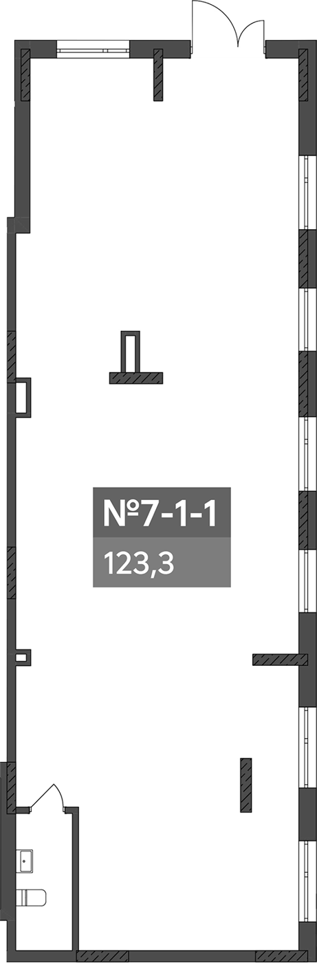 123,3 м², 1 этаж, корпус 1. Узкий вытянутый зал: вход на верхнем торце, ряд окон по всей правой стороне, санузел в нижне